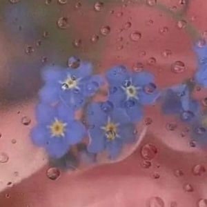 Meet your Posher, Ash